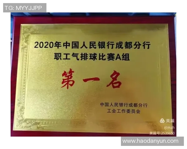 排球心理素质评比出炉成都排球队荣登第七位引发关注